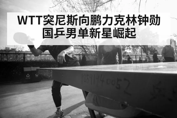 WTT突尼斯向鹏力克林钟勋 国乒男单新星崛起